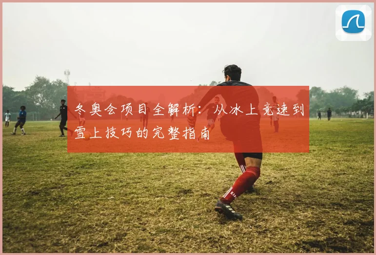 冬奥会项目全解析:从冰上竞速到雪上技巧的完整指南