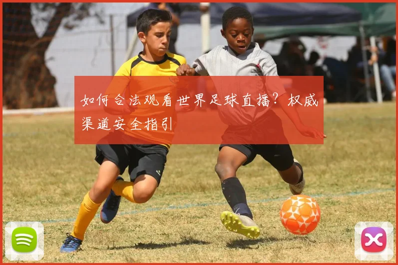 如何合法观看世界足球直播？权威渠道安全指引